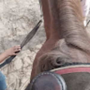 Meet your Posher, Alli